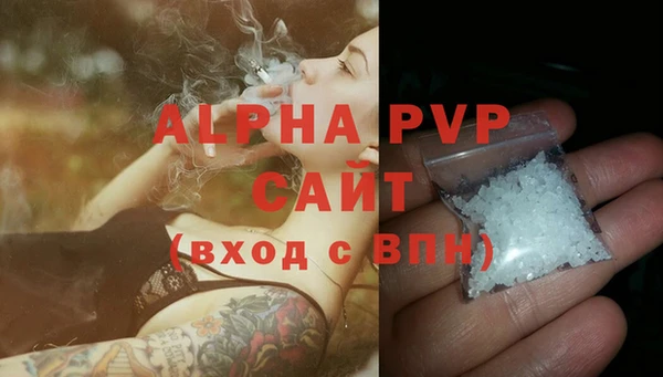 ПСИЛОЦИБИНОВЫЕ ГРИБЫ Переславль-Залесский