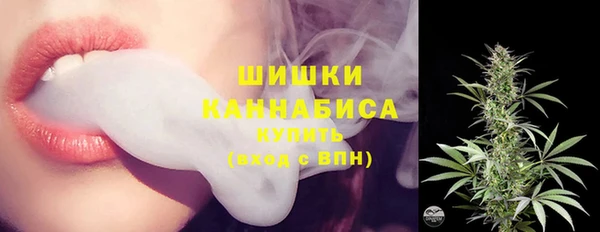 гидра Пестово