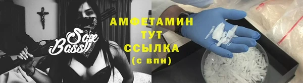 гидра Пестово