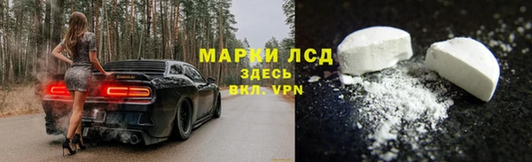 гидра Пестово