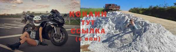 ПСИЛОЦИБИНОВЫЕ ГРИБЫ Переславль-Залесский