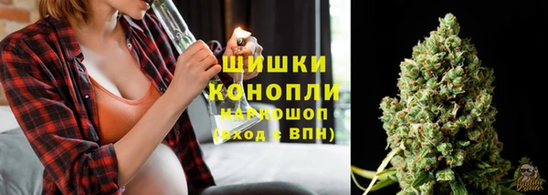 гидра Пестово
