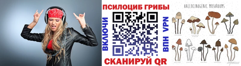 Псилоцибиновые грибы мухоморы  Кизляр 