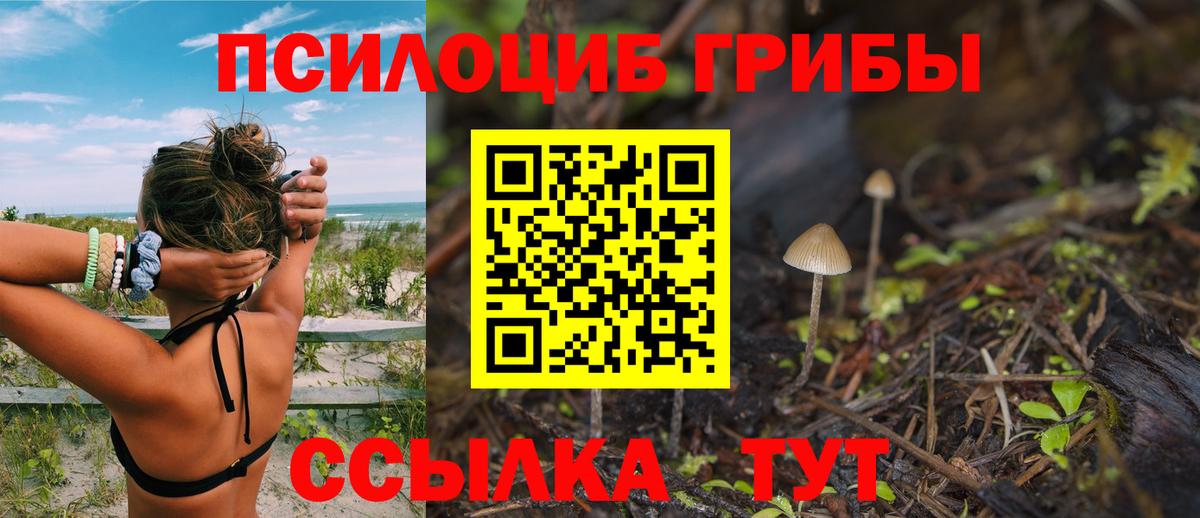 Кизляр  Псилоцибиновые грибы прущие грибы  Галлюциногенные грибы MAGIC MUSHROOMS  купить наркотики сайты  Вход с VPN 