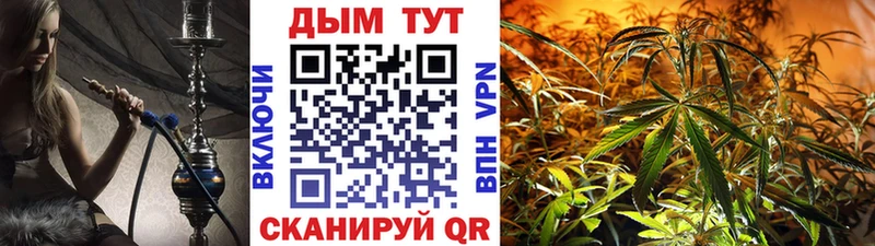 Бошки марихуана MAZAR Кизляр