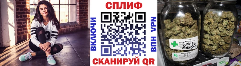 цена наркотик  Кизляр  маркетплейс официальный сайт  Бошки Шишки THC 21% 