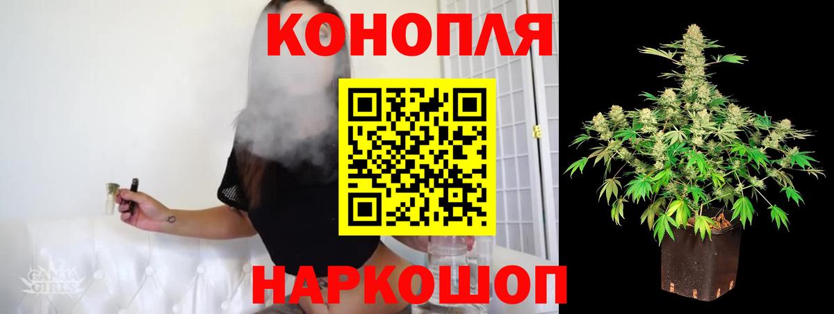 Каннабис планчик  Кизляр  Бошки марихуана THC 21%  Бошки Шишки MAZAR 