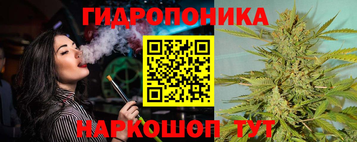 Бошки марихуана сатива Кизляр